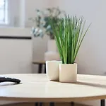 Spring - Centre-ville - Gare - Spacieux - Netflix Apartamento *