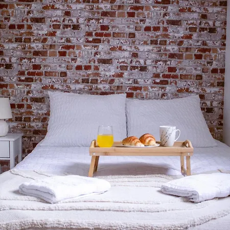 Spring - Centre-ville - Gare - Spacieux - Netflix Apartment Reims