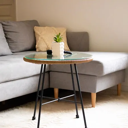 Spring - Centre-ville - Gare - Spacieux - Netflix